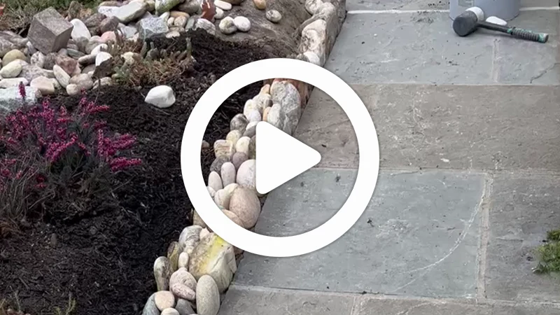 video1